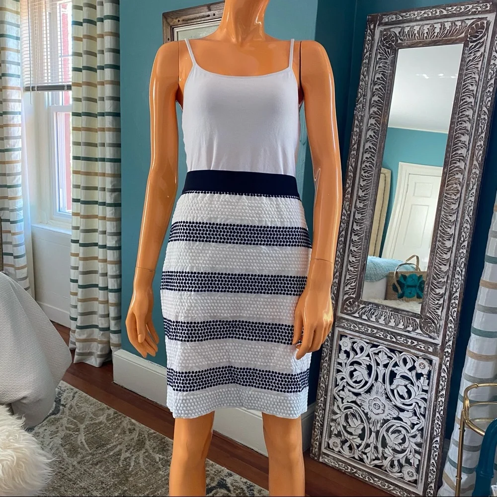 ANN TAYLOR Textural Polka Dot Striped Skirt Petite
